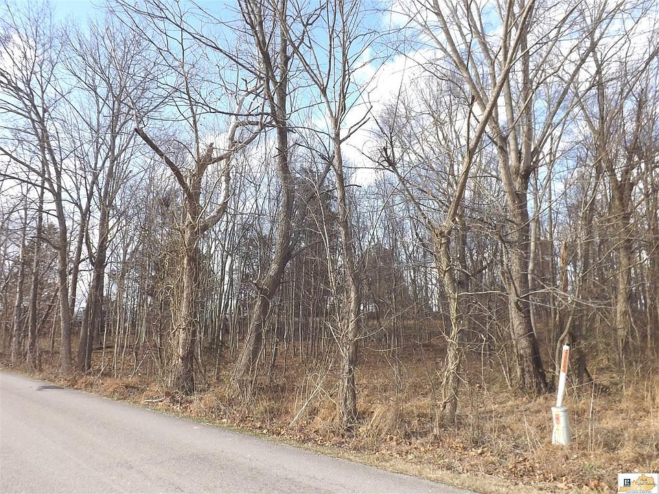 2nd image of 217 Garrett Rd