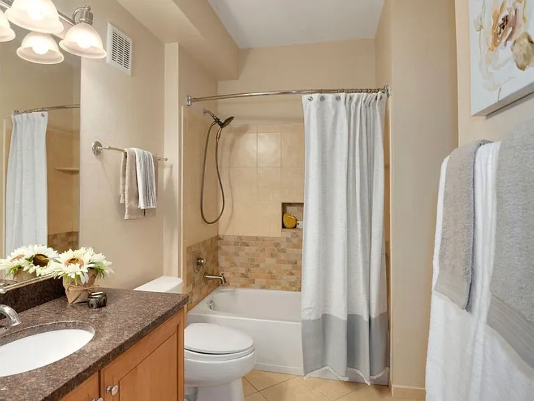 11800 Old Georgetown Rd #1733 — Photo 9