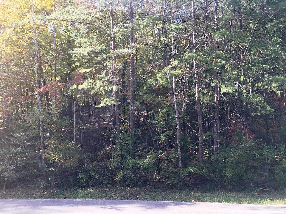 2nd image of Scenic Dr