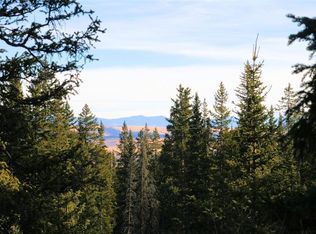 1345 Bobcat Ln, Fairplay, CO 80440