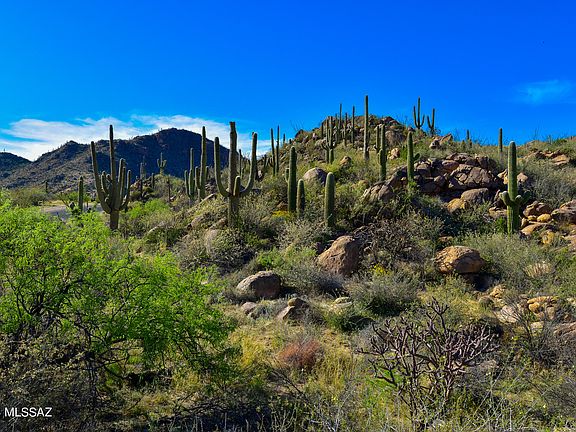 5th image of 15490 N Dove Canyon Pass
