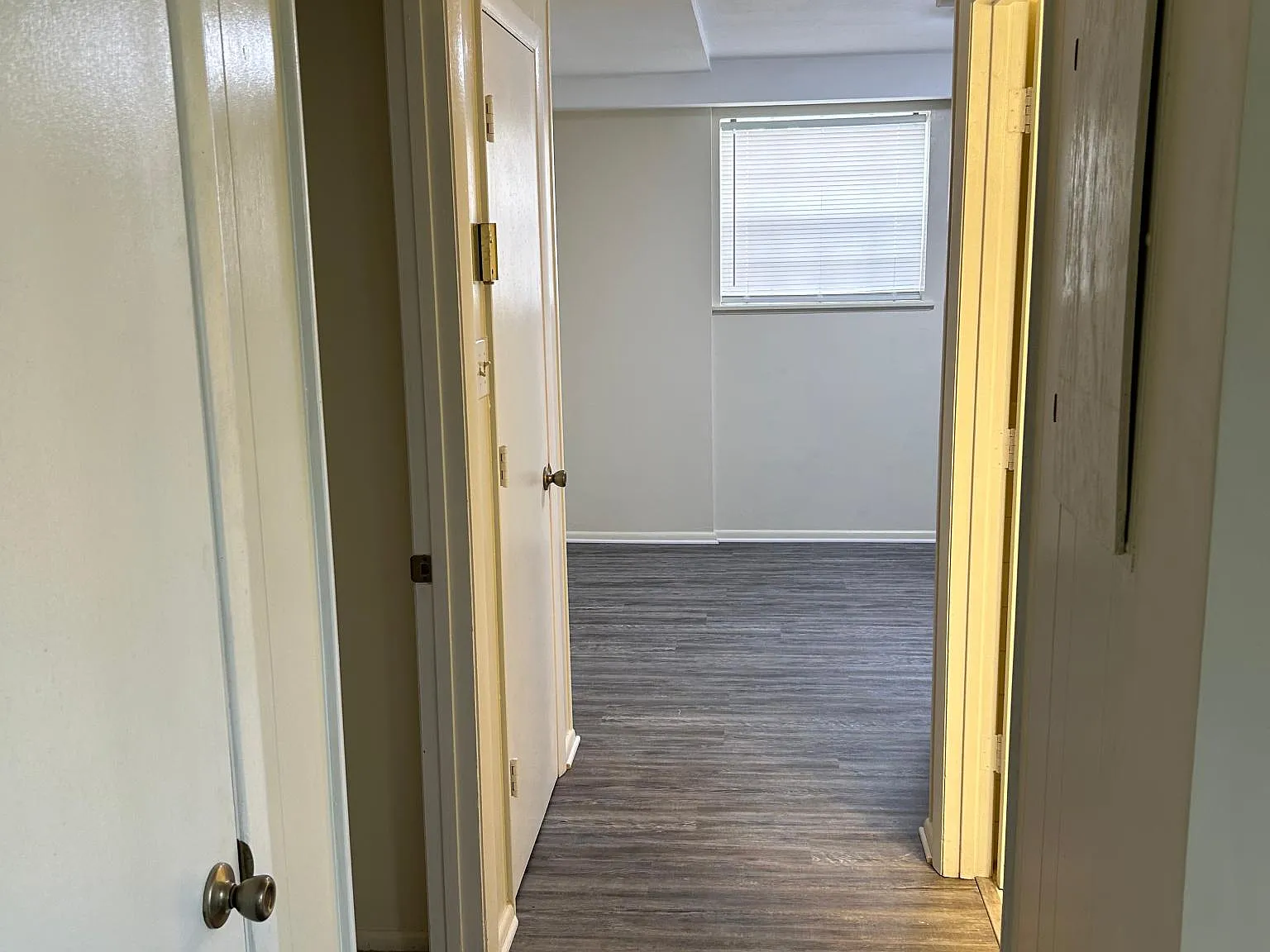 1 bed, 550 sqft, $800 — Photo 3