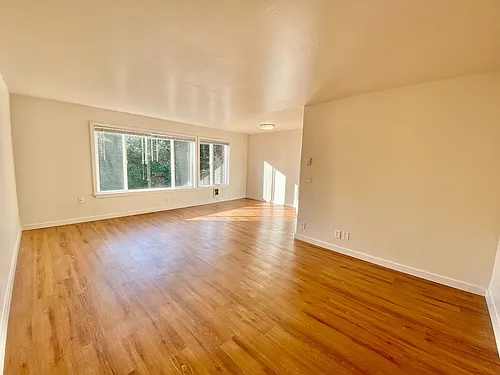 509 Apartments Photo 1