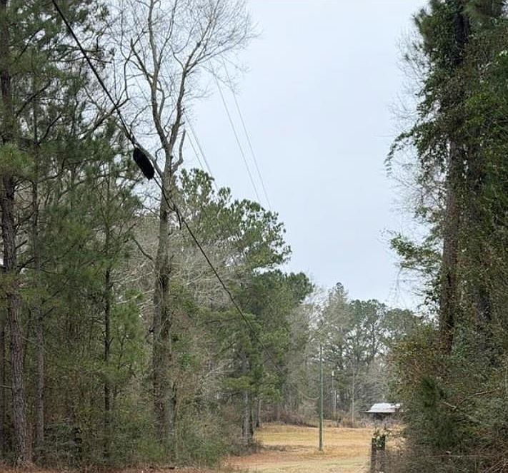 1st image of 71 Thomas Ed Rustin Rd