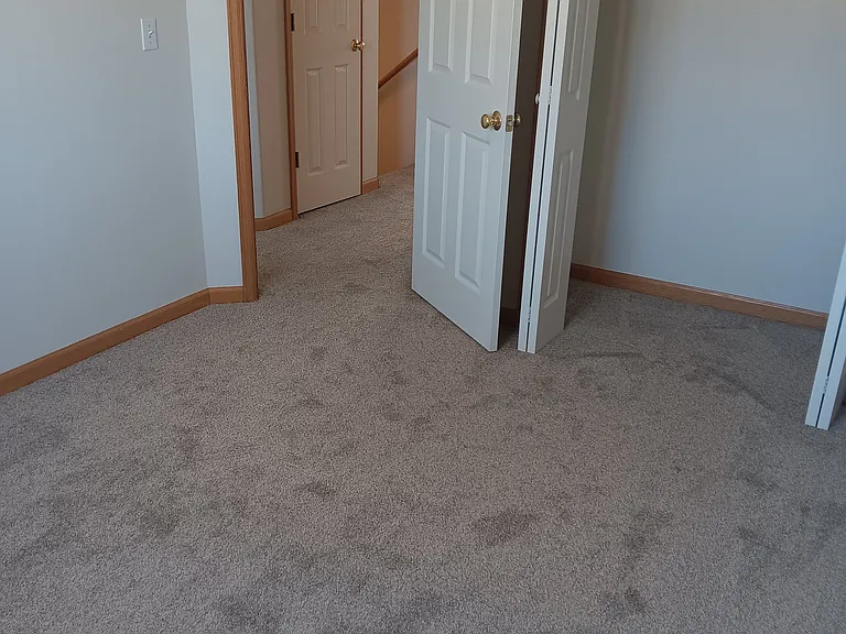 314 Ash Ct — Photo 9