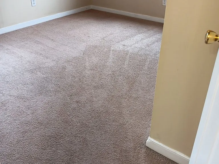 1100 Preston Ave — Photo 13
