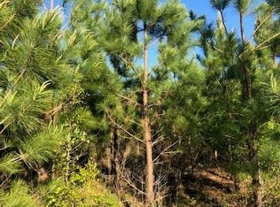 106 Shehee Layfield Rd, Butler, GA 31006