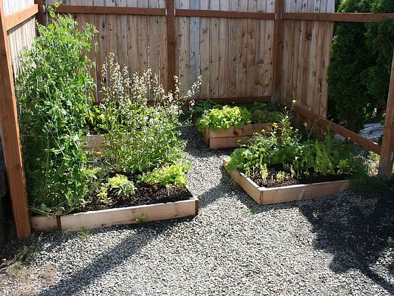Outside - Garden on Southeast corner of the lot