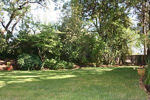 park like fenced back yard