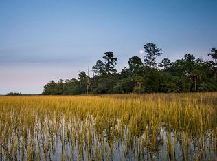 465 Lesesne St, Daniel Island, SC 29492