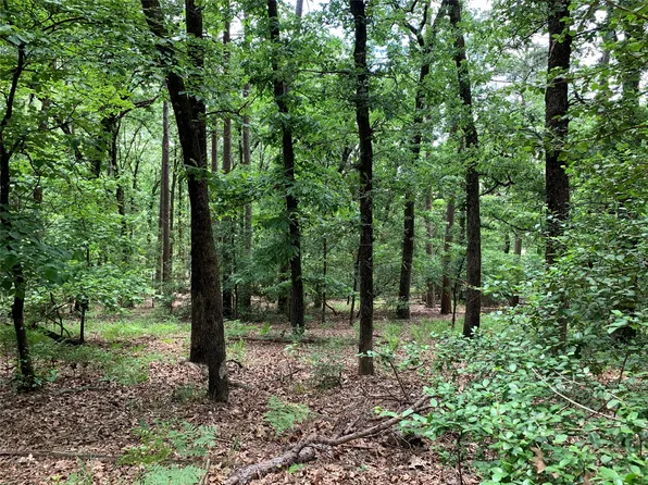 300 & 301 NE Misty Glen Rd, Hawkins, TX 75765