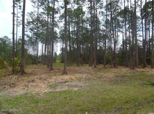 2543 Cosmos Ave, Middleburg, FL 32068