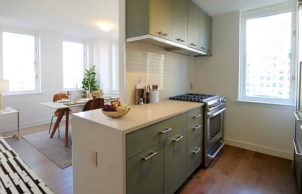 Rented by Platinum Properties | media 14