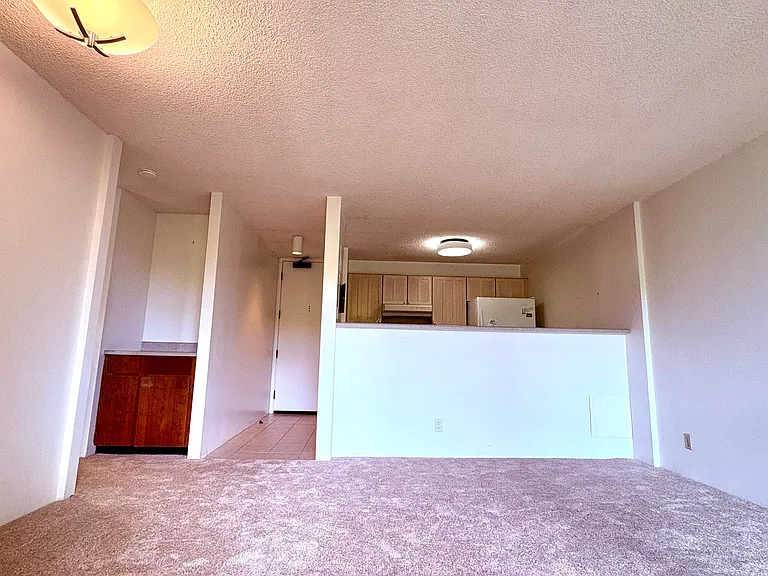 55 S Judd St #705 — Photo 8