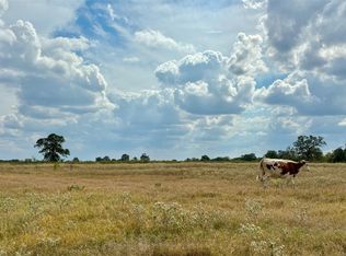 3 Big Sky Ranch Rd, Smithville, TX 78957