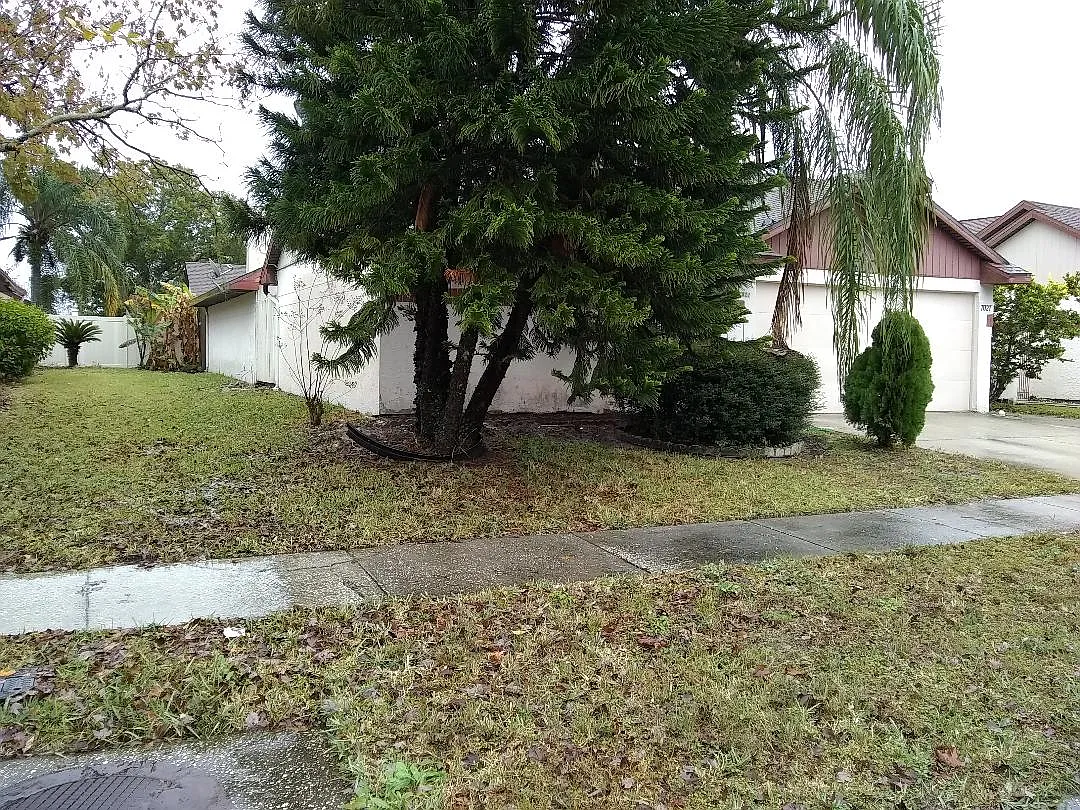 Landon Ln, Tampa — Photo 2