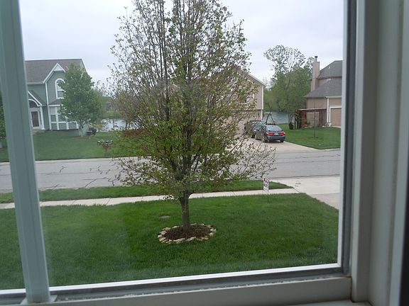 Pond view out front window