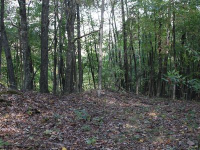 1430 Sand Bank Rd, Masontown, WV, 26542