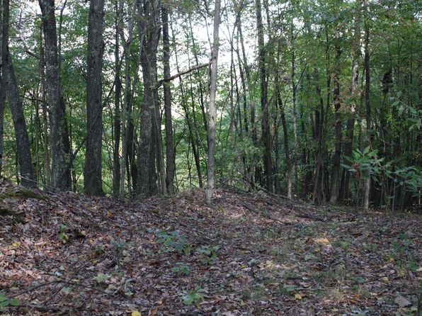 1430 Sand Bank Rd, Masontown, WV 26542