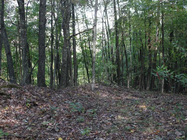 1430 Sand Bank Rd, Masontown, WV 26542