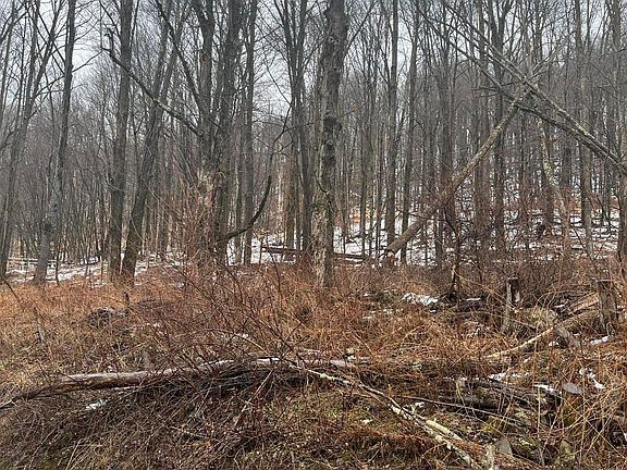 3rd image of 922 Hawk Rd