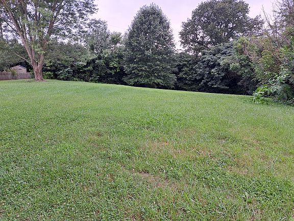 2nd image of 307 Scenic Oak Dr