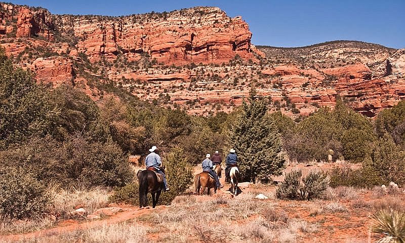 Horse Property Coming Soon! 
