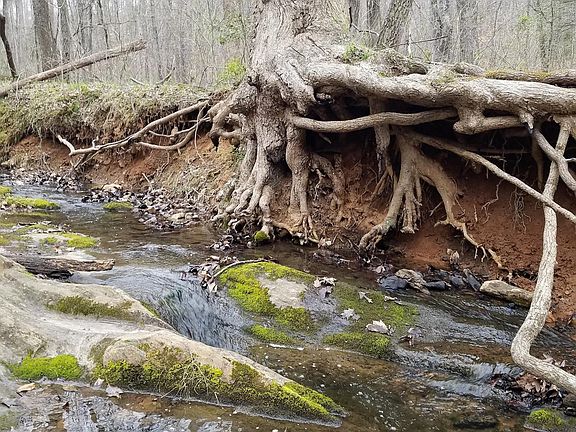 4th image of Tract 6 Wyatts Way