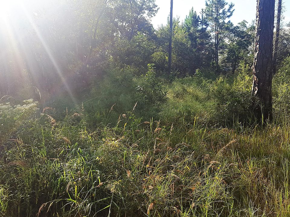1st image of L-41 44 Ivy Dr