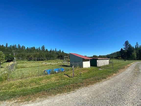 Chicken coop & loafing shed