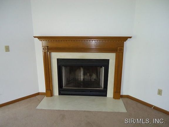 Wood burning fireplace