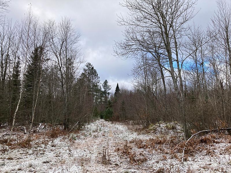 3rd image of L225.-2-17 Trim Road