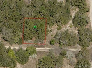 2208 Wilson St, Inverness, FL 34453