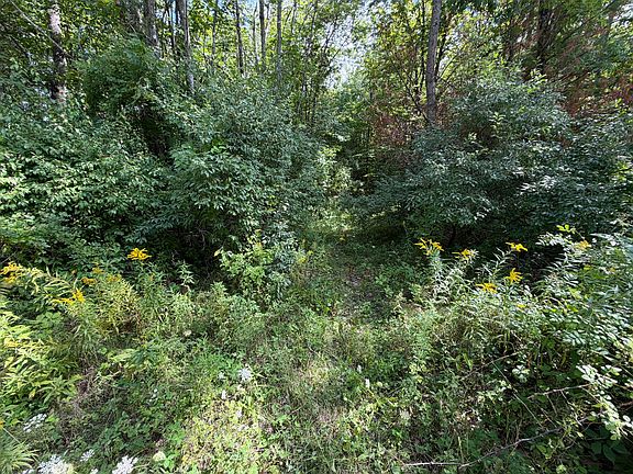 4th image of TBD Stoneybrook Drive Lot 1