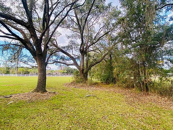 4th image of 3297 Cottontail Ln