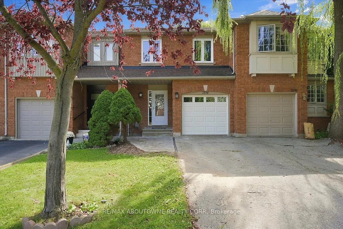 3 bed, $3,800 — Photo 3