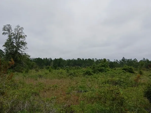 0 Dogwood Ln Lot 2, Folkston, GA 31537