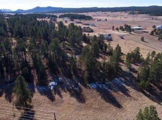 251 Homestead Ln, Florissant, CO 80816