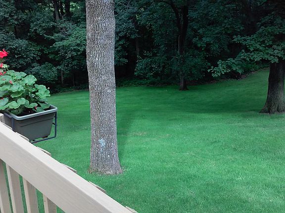 Yard from Deck