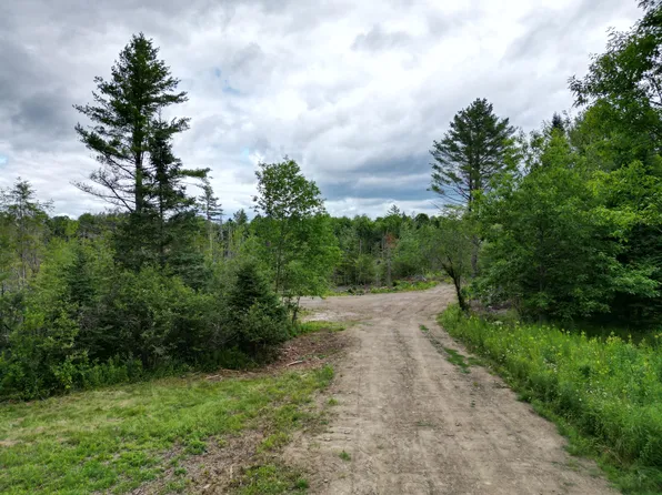 Lot 16 Route 1, Brookton Twp, ME 04413
