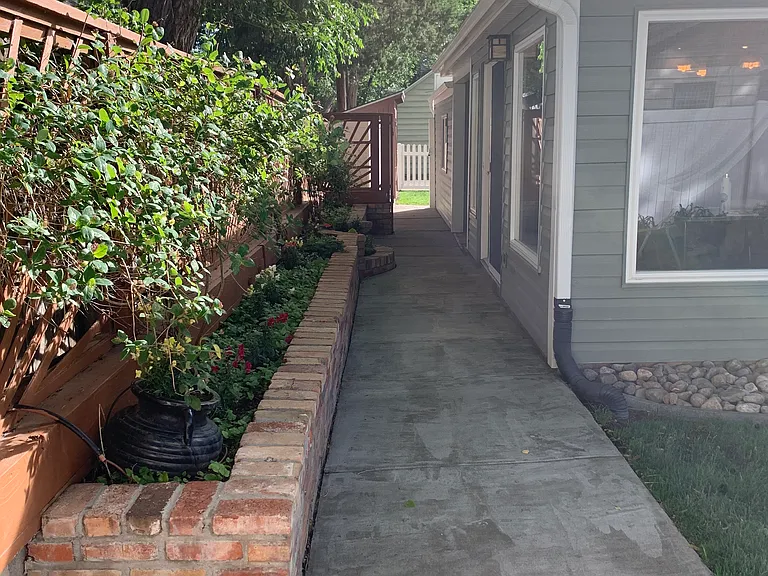 Backyard sidewalk and brick planter. Brick planter planted with perennial ground cover, snap dragons, lilies and honey suckle vines