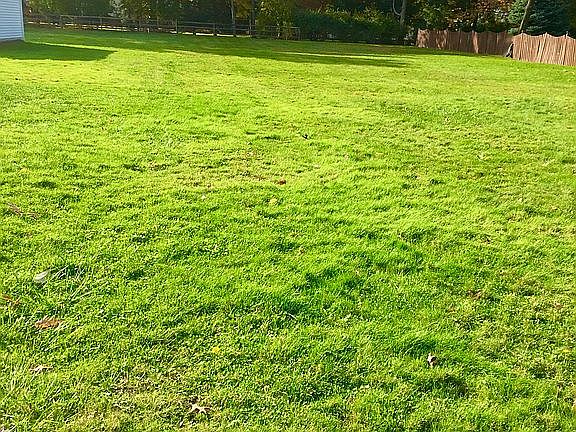 4th image of Worton Park Dr