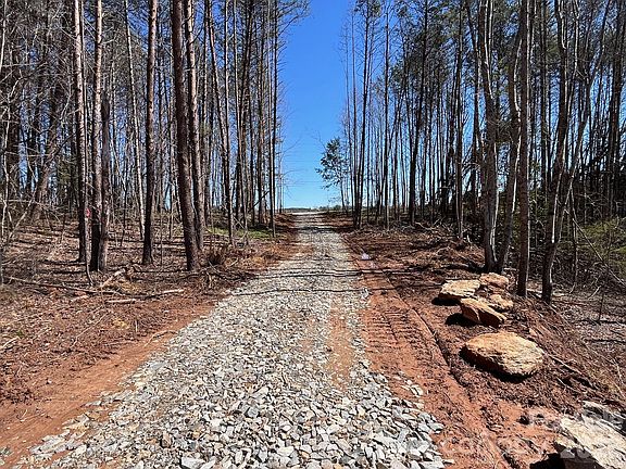 3rd image of Vein Mountain Rd #2