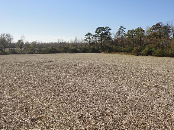 5th image of 0 County Road 1814
