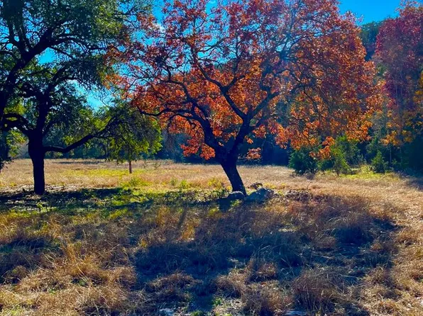 135 N Shapen Springs Rd, Harper, TX 78631