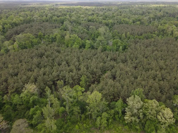 County Road 29 Lot Wp003, Hamburg, AR 71646