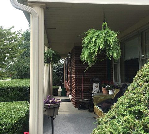 2nd image of 515 Suffolk Dr