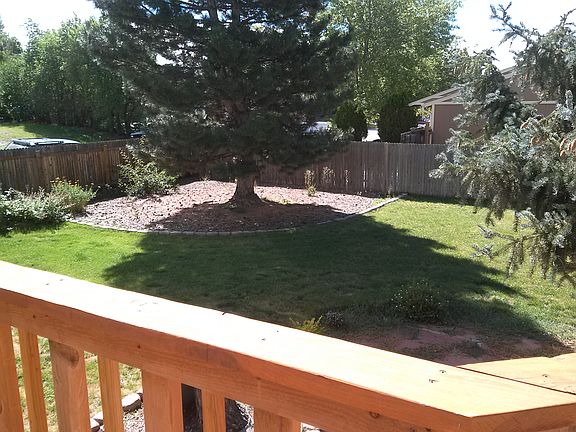 Partial view of backyard