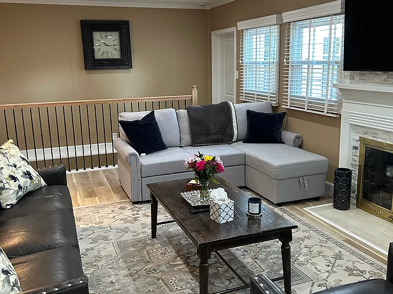 Living room with futon