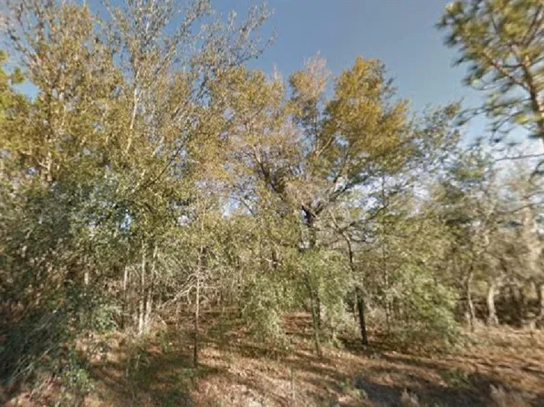 NE 154th Ave #18, Williston, FL 32696